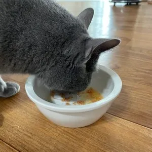 베스트 후기 이미지