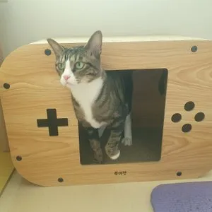 베스트 후기 이미지