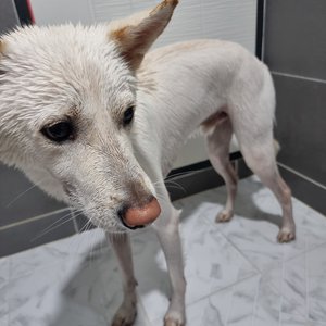 베스트 후기 이미지