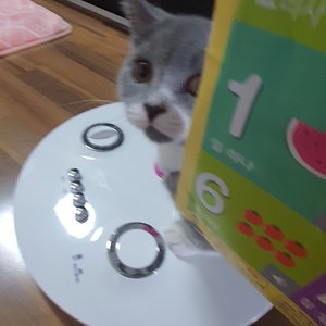 베스트 후기 이미지