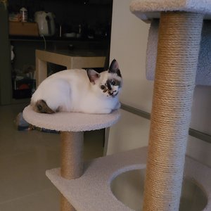 베스트 후기 이미지