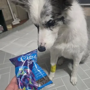 베스트 후기 이미지