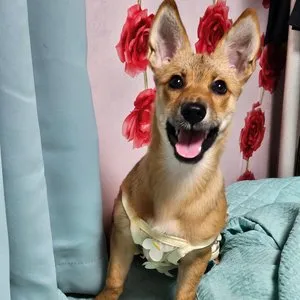 베스트 후기 이미지