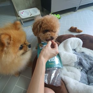 베스트 후기 이미지