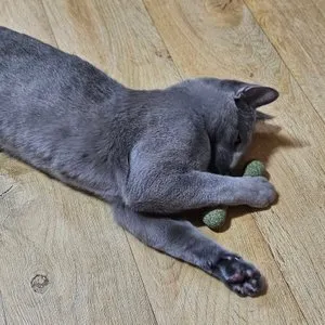 베스트 후기 이미지