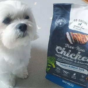 베스트 후기 이미지