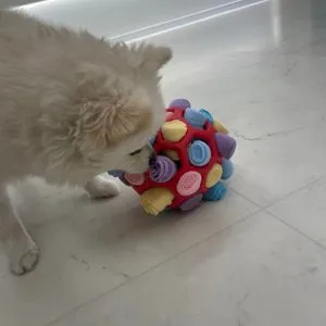 베스트 후기 이미지