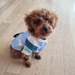 베스트 후기 이미지