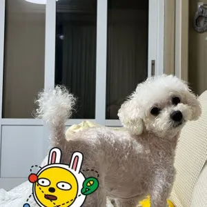 베스트 후기 이미지