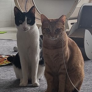 베스트 후기 이미지