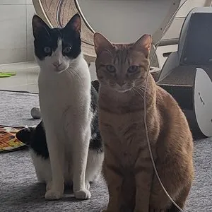 베스트 후기 이미지