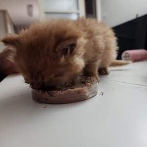 베스트 후기 이미지