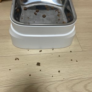 베스트 후기 이미지