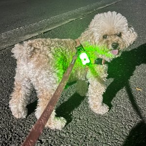 베스트 후기 이미지