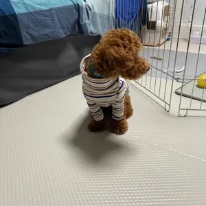 베스트 후기 이미지