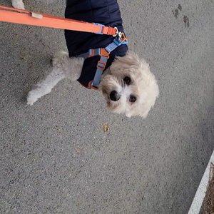 베스트 후기 이미지