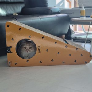 베스트 후기 이미지