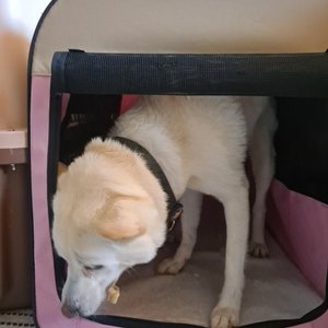 베스트 후기 이미지