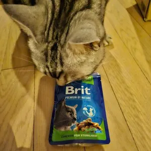 베스트 후기 이미지