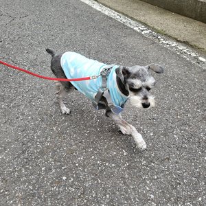 베스트 후기 이미지