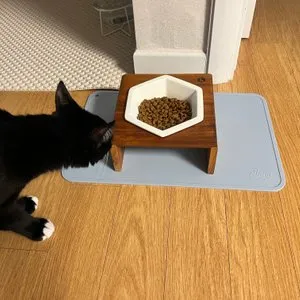 베스트 후기 이미지