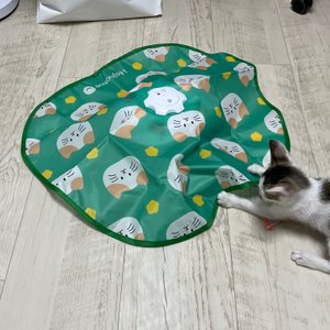 베스트 후기 이미지
