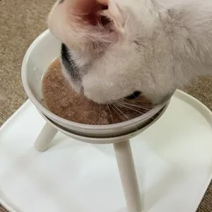 베스트 후기 이미지