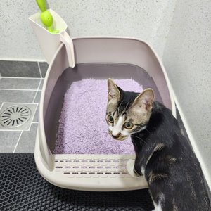 베스트 후기 이미지