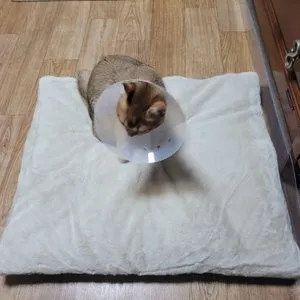 베스트 후기 이미지