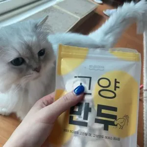 베스트 후기 이미지