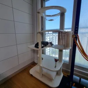 베스트 후기 이미지