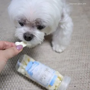 베스트 후기 이미지