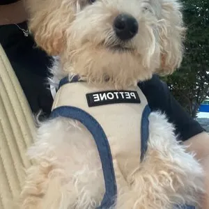 베스트 후기 이미지