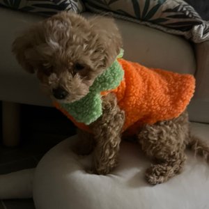 베스트 후기 이미지