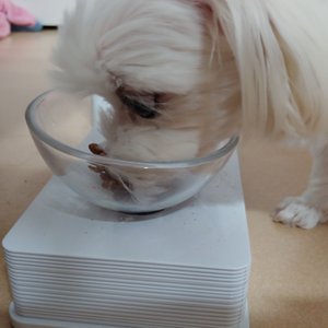 베스트 후기 이미지