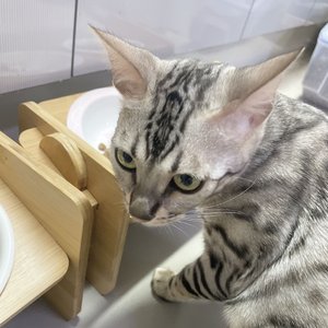 베스트 후기 이미지