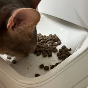 베스트 후기 이미지