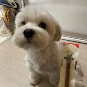 [창고대방출] 리치즈박스 독 포크 베지스틱 20ea 베스트 후기 이미지