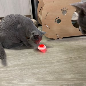 베스트 후기 이미지