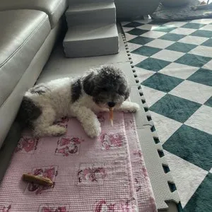 베스트 후기 이미지