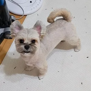 베스트 후기 이미지