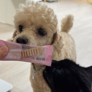 베스트 후기 이미지