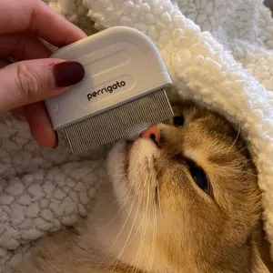 베스트 후기 이미지