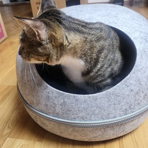 베스트 후기 이미지