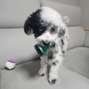 베스트 후기 이미지