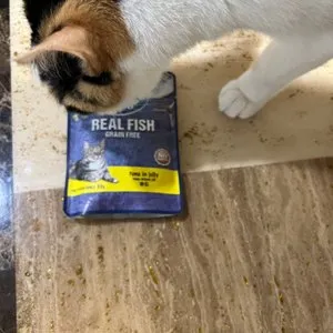 베스트 후기 이미지