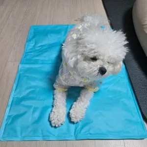 베스트 후기 이미지