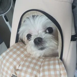 베스트 후기 이미지