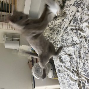베스트 후기 이미지
