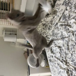 호랑이 낚시대 베스트 후기 이미지